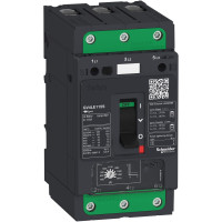 ВИМ TESYS GV4L МАГН.РОЗЧ 50А 100КА, Schneider Electric GV4LE50S