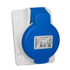 Розетка панельна кутова, гвинтова, 16А, 2P+E, IP44, 200-250В, Schneider Electric PKF16F423