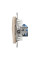 Комп'ютерна розетка RJ45, кат. 6, неекр. UTP, Бежевий, Sedna Design SDD112461